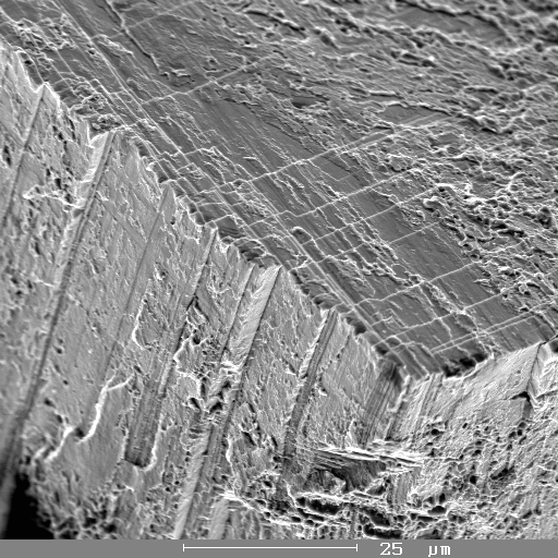 Obr.13 Vzorek č. 157.3 LS, litá struktura, příčný řez, zvětšeno 50x Fig.13 Sample No 157.3 LS, cast structure, cross cut, magnified 50x Obr.14 Vzorek č. 157.3 US, usměrněná struktura, 10 mm/hod, příčný řez, zvětšeno 50x Fig.