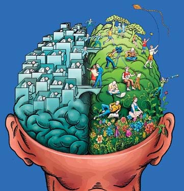 Mozgové hemisféry Posilnenie ľavej mozgovej hemisféry Posilnenie pravej mozgovej hemisféry hádanky sudoku