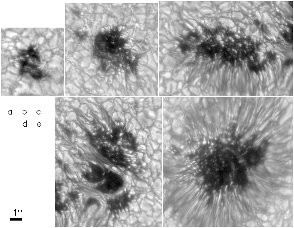 Obr. 2. Pozorované póry (a,b) a sluneční skvrny (c,d,e). Pole (c) a (d) představují dvě části téže skvrny.