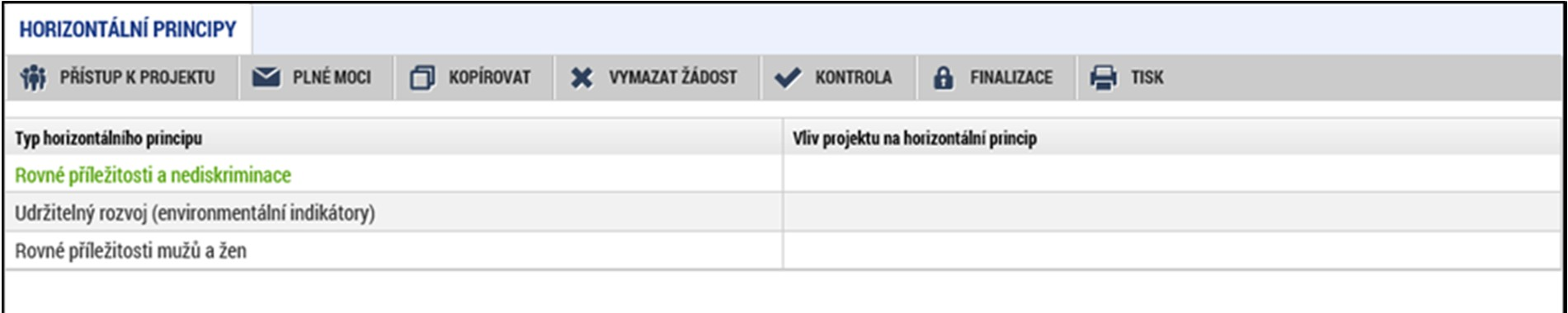 Horizontální principy Na této záložce se vyplní typ horizontálního principu.