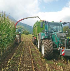 aktuality PŘED VÝBĚREM HYBRIDU VÁM DOPORUČUJEME KONTAKTOVAT REGIONÁLNÍHO OBCHODNÍHO ZÁSTUPCE, KTERÝ VÁM POSKYTNE INFORMACE O VHODNÝCH HYBRIDECH A AGROTECHNICE PRO VAŠE STANOVIŠTĚ.