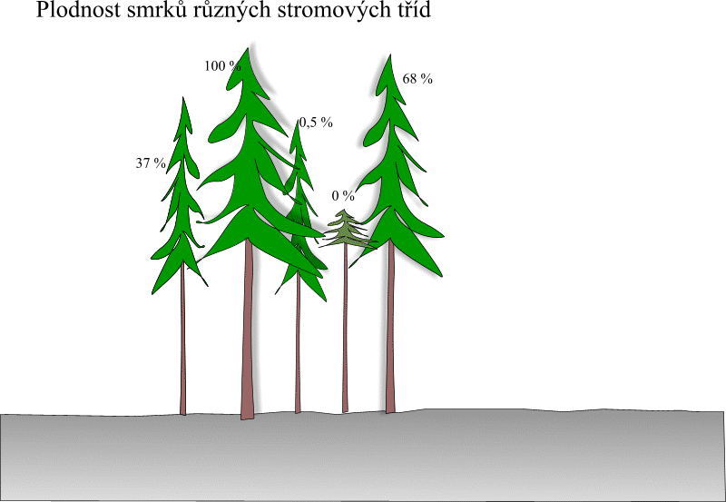 Podmínky