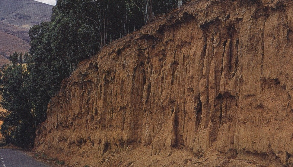 8. Spraš Eolický sediment pleistocénních