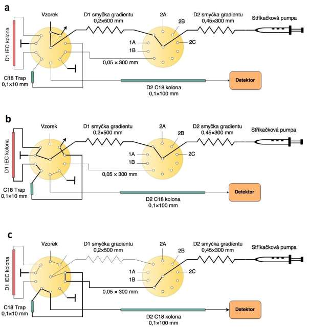 Obrázek 10 Schématické znázornění navrženého 2D-LC systému v jednotlivých konfiguracích; (a) Gradient mobilní fáze, vytvořen v D2 smyčce po nasátí kapalin 1A a 1B je vpraven do D1 smyčky.