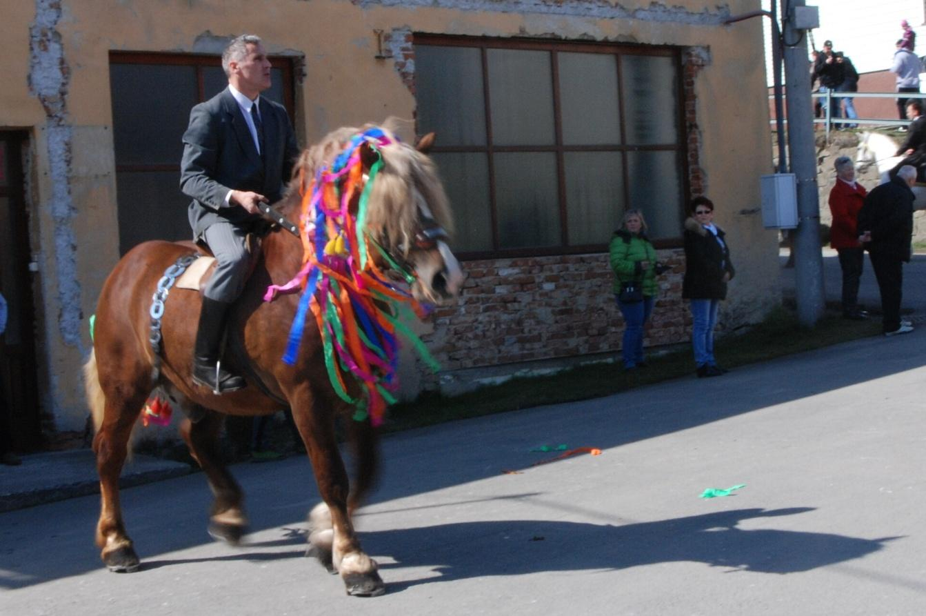 43. Kůň ženatého muže s barevnými pentlemi z krepového