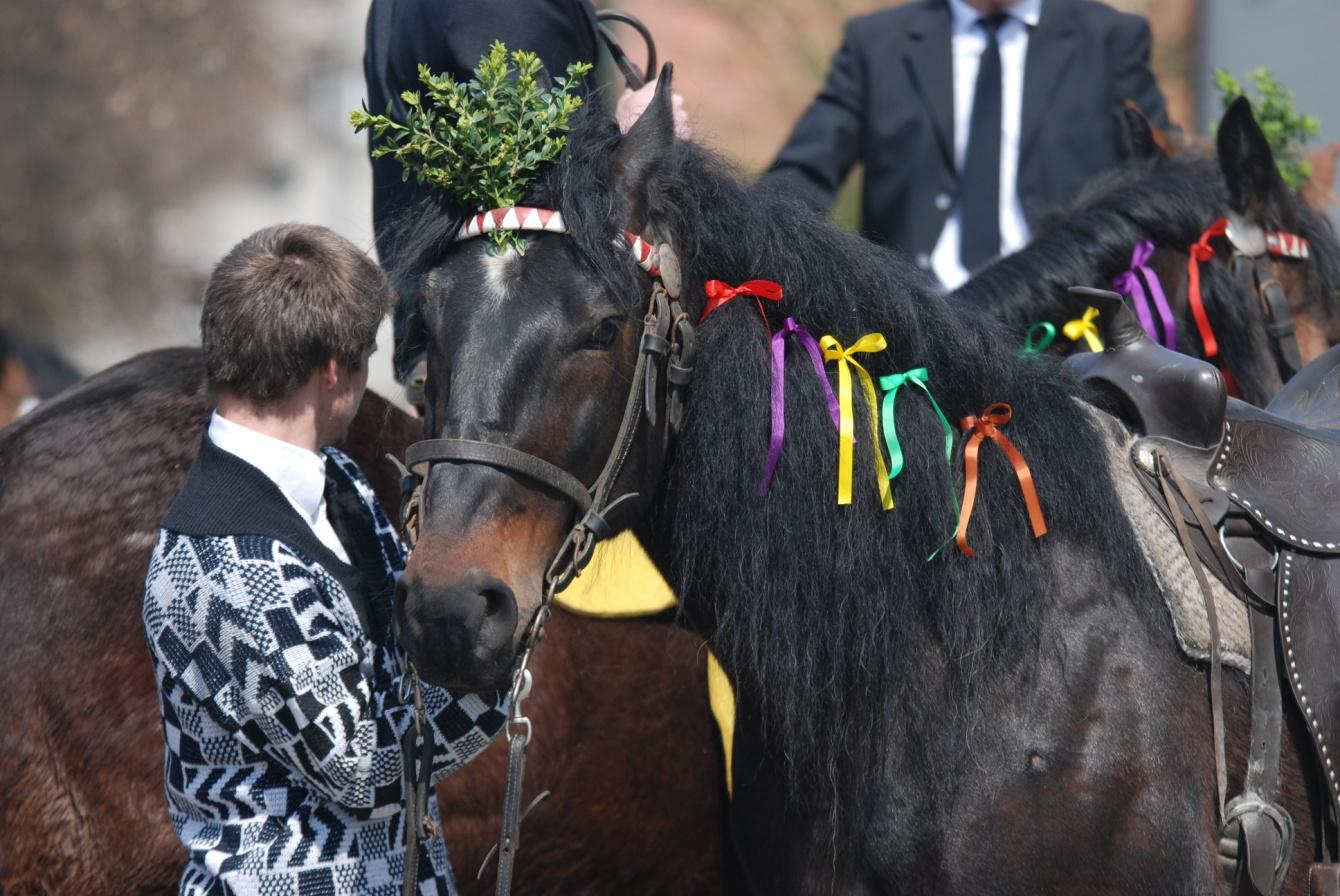 45. Různobarevné mašle v hřívě a vonička z krušpánku na čele