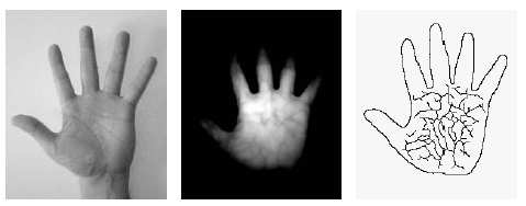 1.6 OSTATNÍ METODY IDENTIFIKACE 1.6.1 Identifikace podle tvaru krevního řečiště ruky Jedná se o metodu s vysokou přesností, při níž není potřeba složitého zařízení a algoritmy provádějící extrakci vzorků nejsou příliš náročné.