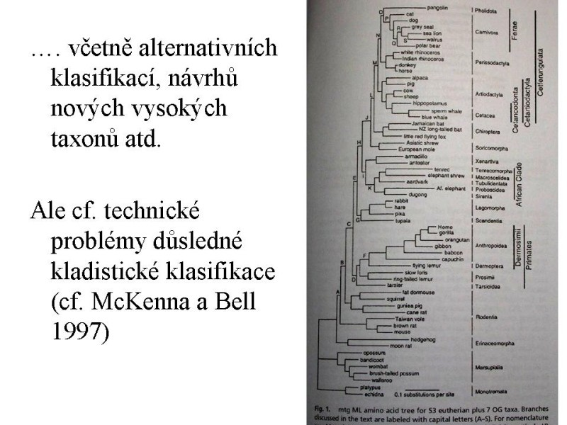 McKenna, Malcolm C., and Bell, Susan K. 1997.