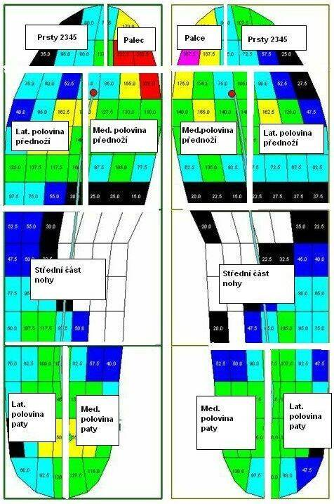 Obrázek 10. Rozdělení nohy na 7 kvadrantů Z naměřených dynamických hodnot v jednotlivých kvadrantech byly následně vypočteny hodnoty průměrné.
