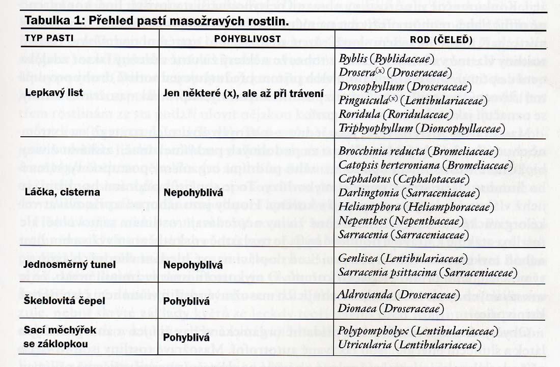 Studnička, 2006 asti masožravých