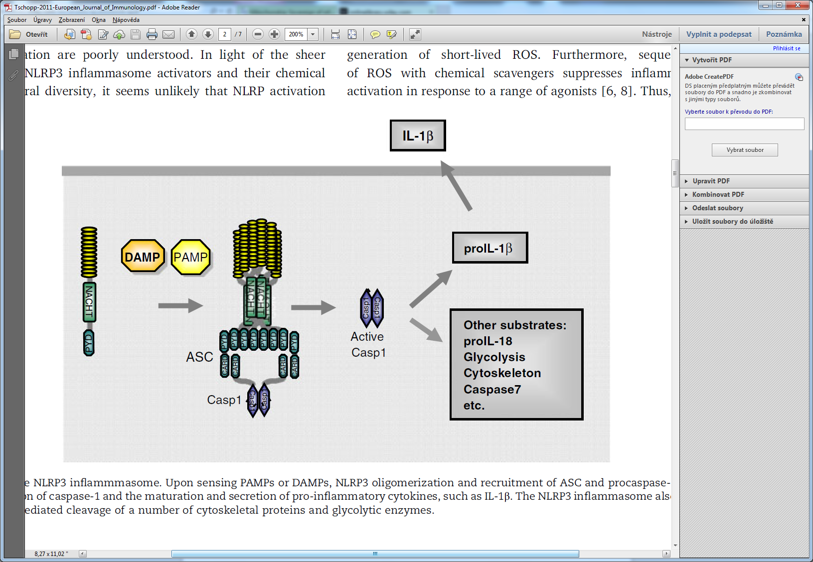 Extrinsic pathway: Tolllike receptory Cohen J. The immunopathogenesis of sepsis.