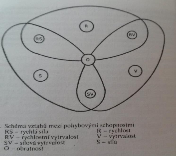 Dle Choutky (1991) viz obrázek 1 - jednotlivé schopnosti představují určitý samostatný komplex, do kterého se promítají ostatní schopnosti. Jejich rozvoj slouží jako prostředek k plnému zvládnutí hry.