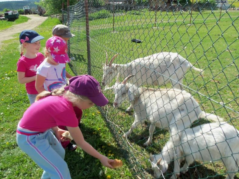 VÝLETY Výlety pořádáme jak do okolí Rakovníka, tak i do vzdálenějších míst. Jejich počet, směr i délka je přizpůsobena věkovým možnostem dětí.