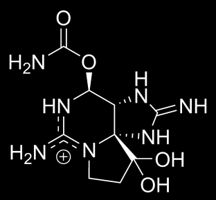 saxitoxin nekoordinované pohyby, vypouklé oči, zástava srdce, udušení -