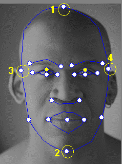 Tipy a podněty pro pasování obličeje Jak mohu přesněji odladit obraz modelu, aby pohyby obličeje byly realističtější? a. Kontrolní body 1, 2, 3 a 4 jsou klíčové pro ovládání morfování obličejové sítě.