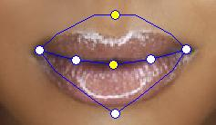 Pokud váš model má otevřená ústa, zakažte tuto funkci, abyste mohli body umístit do horní a dolní oblasti rtů Před zavřením Po