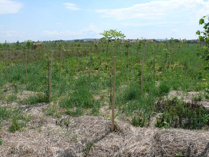 zmírnění dopadů klimatické změny na vodní