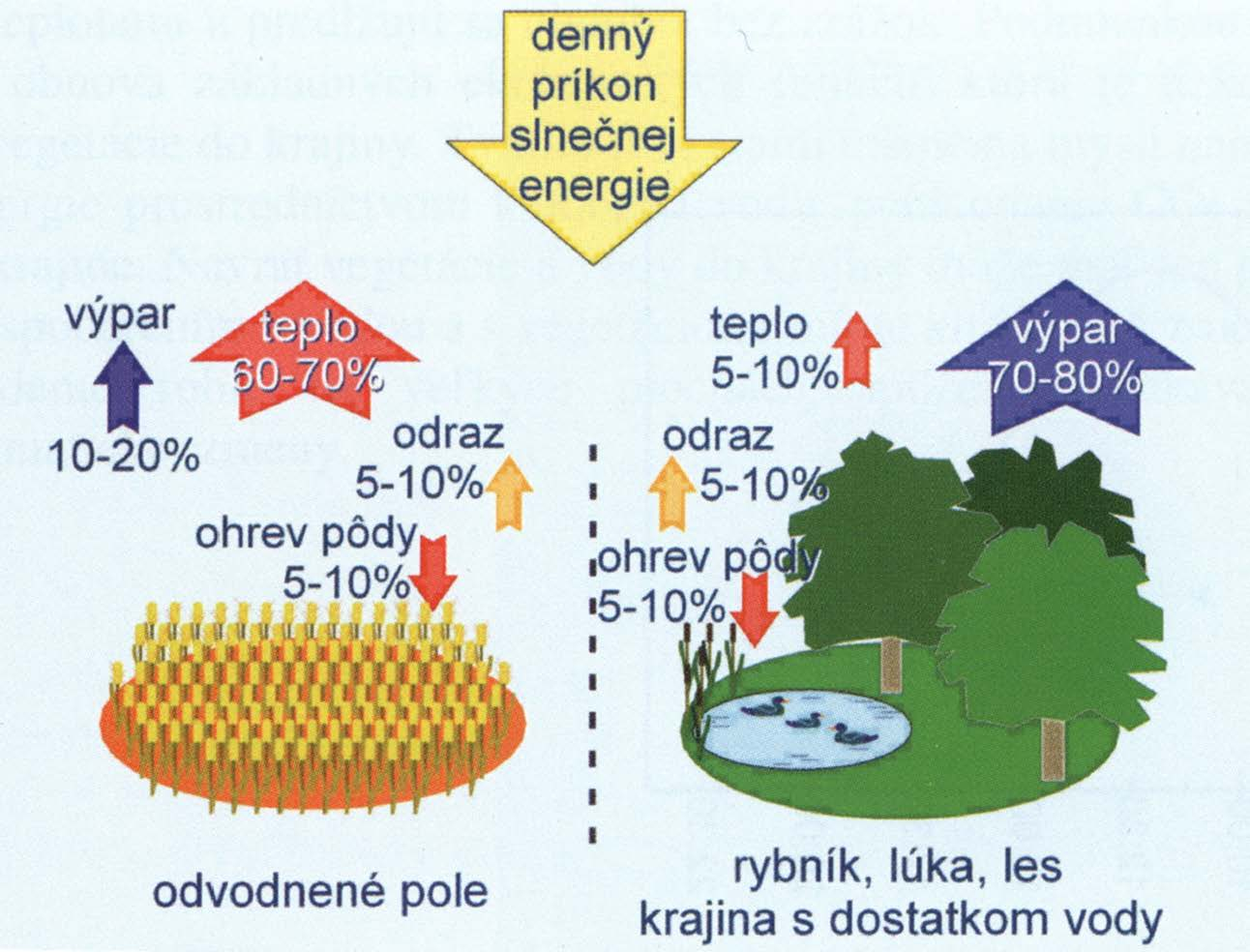 Funkce vody V KRAJINĚ transformace sluneční energie Odvodněná krajina: většina sluneční energie se přemění na zjevné teplo Krajina s dostatkem vody: