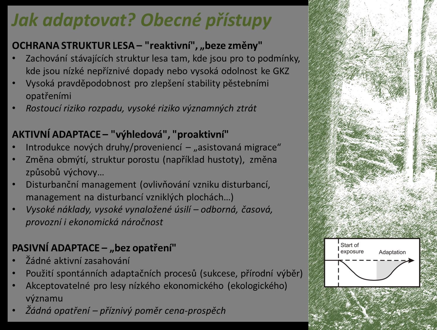 Obecné možnosti adaptace lesa na klimatické změny, dle Bolte et al. (2009) [17], upraveno.