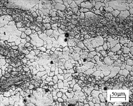 Acta Metallurgica Slovaca, 12, 2006, 4 (490-496) 495 The metallographic investigation was completed by fracture analysis of fracture analysis (Fig.4).