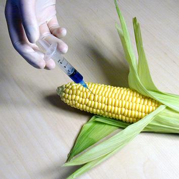 GMO a svet GMO sú na trhu už cca 10 rokov, pričom rozloha na ktorej sa pestujú rastie cca 10% ročne.