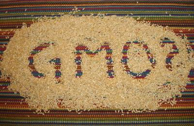 Čo sú geneticky modifikované organizmy (GMO)?