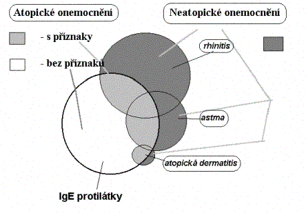 aktivují komplement: sérová nemoc, systémový lupus erytematodes, poststreptokoková glomerulonefritis, postinfekční artritida. IV.