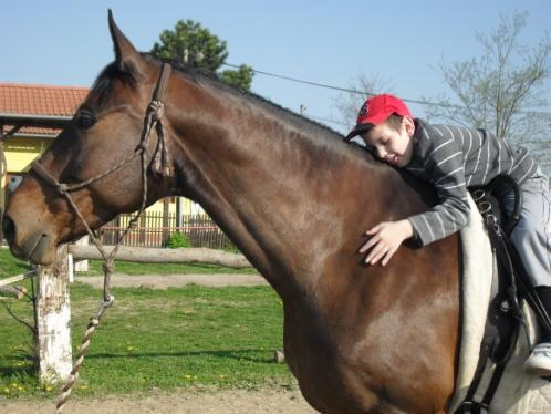 Hipoterapia Hipoterapia je rehabilitačná metóda, ktorá využíva komplexné liečebné pôsobenie koňa