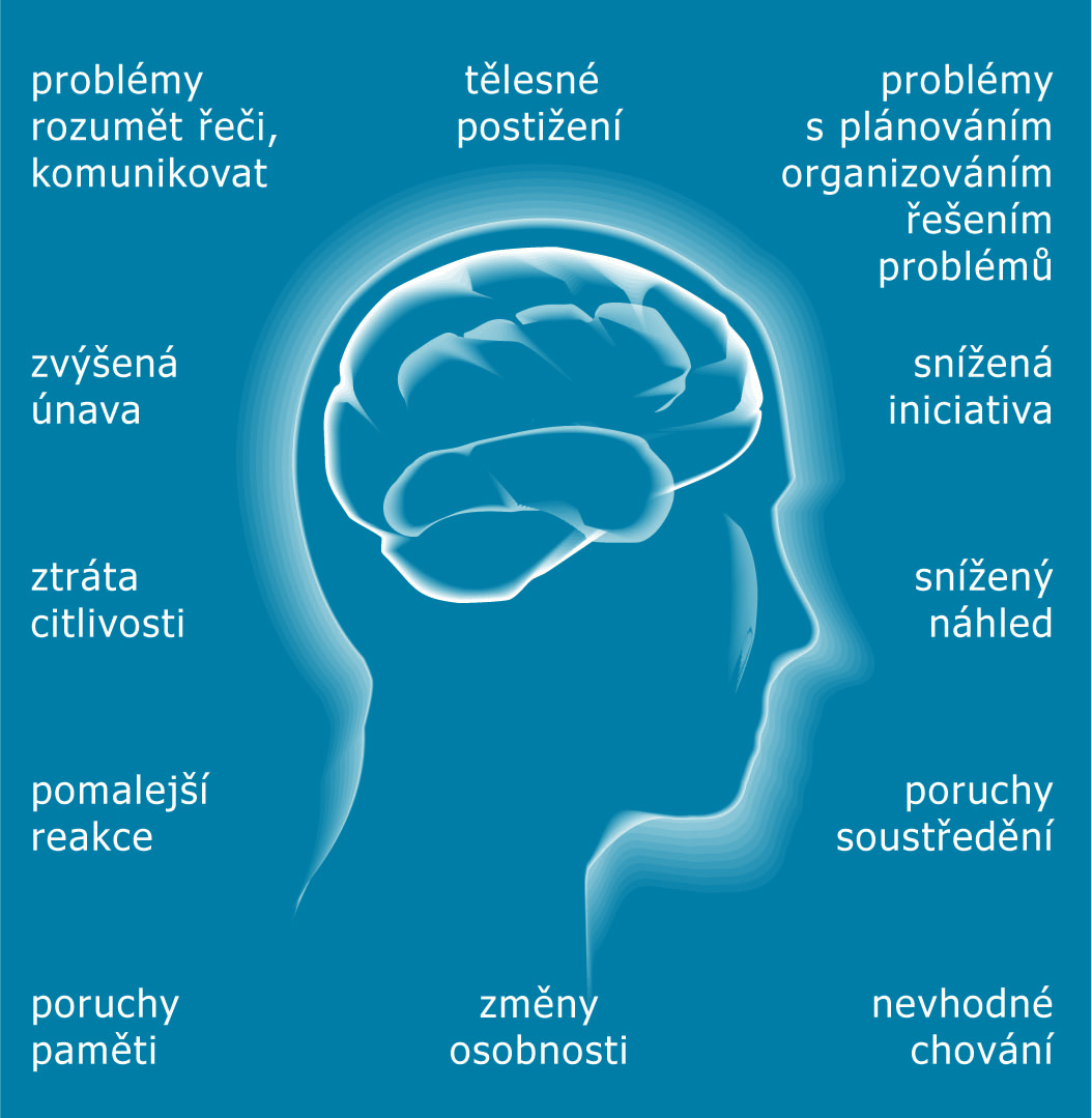 e) Společenské problémy Zaměstnání v České republice není evidována nezaměstnanost osob po poškození mozku, ze zahraničních studií však vyplývá 3, že se nezaměstnanost u osob s těžkým poškozením