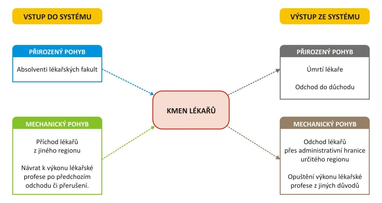 Pohyb lékařů v rámci