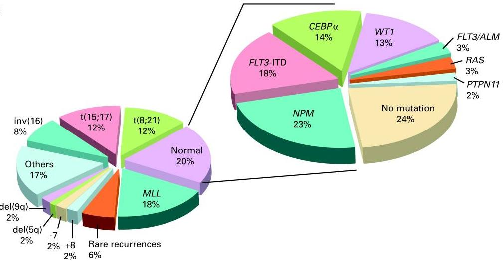 Cytogenetika Genotypová klasifikace odráží heterogenitu akutních myeloidních leukémií.