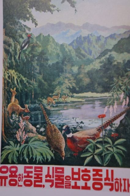 obr. 30 - Pojďme uchovat a propagovat užitečnost zvířat a rostlin!, 1968 ( 유용한동물, 식물을보호증식하자!