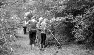 Za úãast na brigádách patfií v em velké podûkování Brigáda u jezera Zastupitelstvem obce byly zorganizovány dvû brigády, kter ch se zúãastnilo také mnoho obãanû a my moc za tuto úãast dûkujeme.