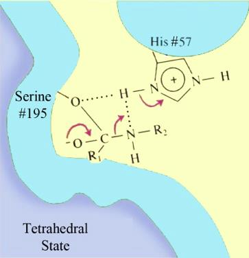 Mechanismus katalýzy -