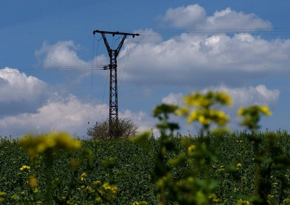 STATISTICKÝ PŘEHLED, VÝHLEDY EU 28, AKTUALITY Žlutý upír. Kvůli řepce mizejí z českých polí brambory pokračování Ujišťuje, že není možné začít z koláče čtyř plodin najednou pěstovat polovinu řepky.