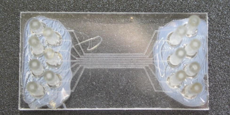 Polystyrénový mikročip pro detekci IgG Experimentální