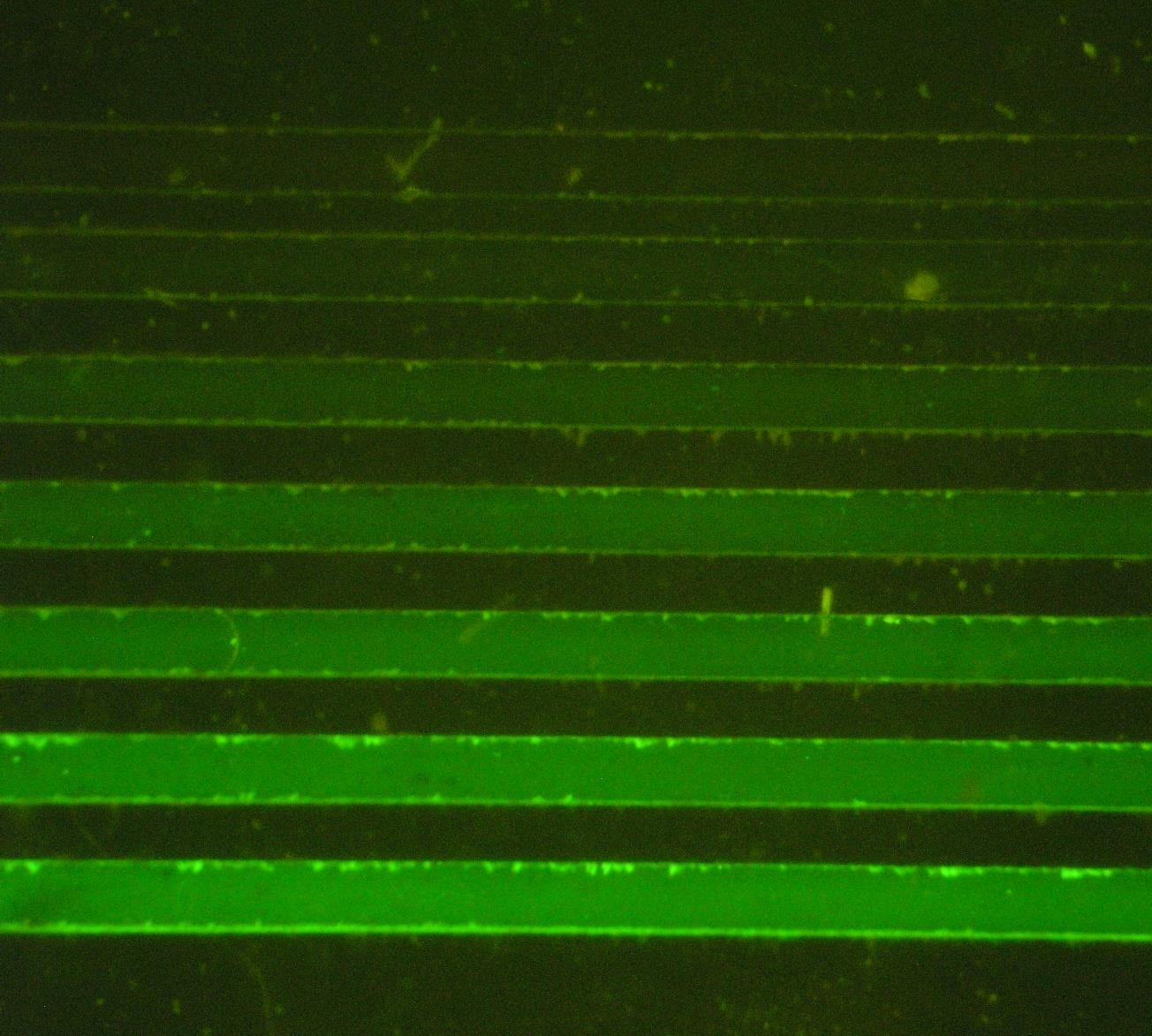 Polystyrénový mikročip pro detekci IgG Intenzita fluorescenčního zabarvení v konkrétním kanále po vymytí zbytku vzorku vypovídá o