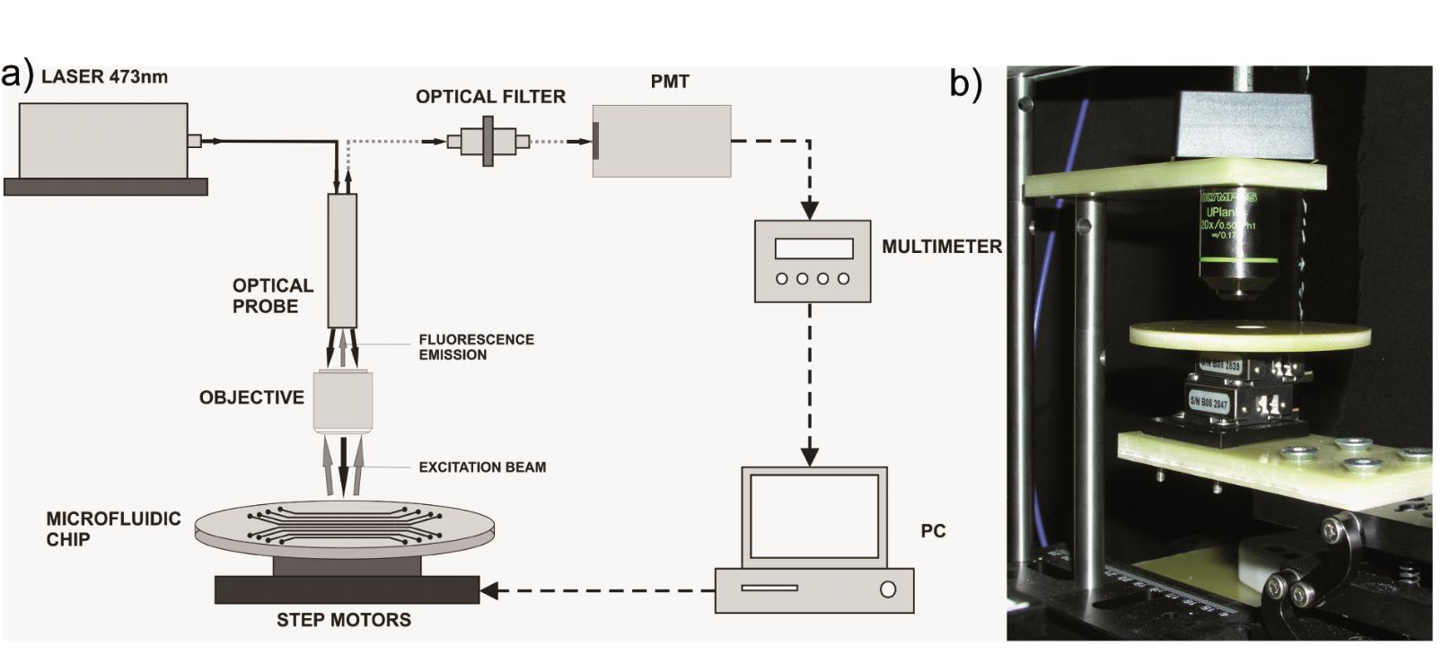 PDMS mikročip pro kvantifikaci protilátek Měřen profil fluorescenční emise napříč