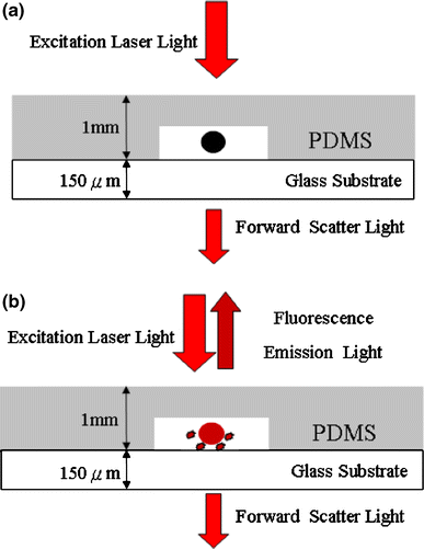 Průtokový cytometr v mikrofluidním čipu Chen HT, Wang