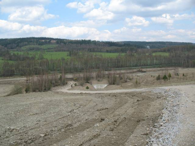 Figure 3 Spontaneously overgrown site at the edge of the