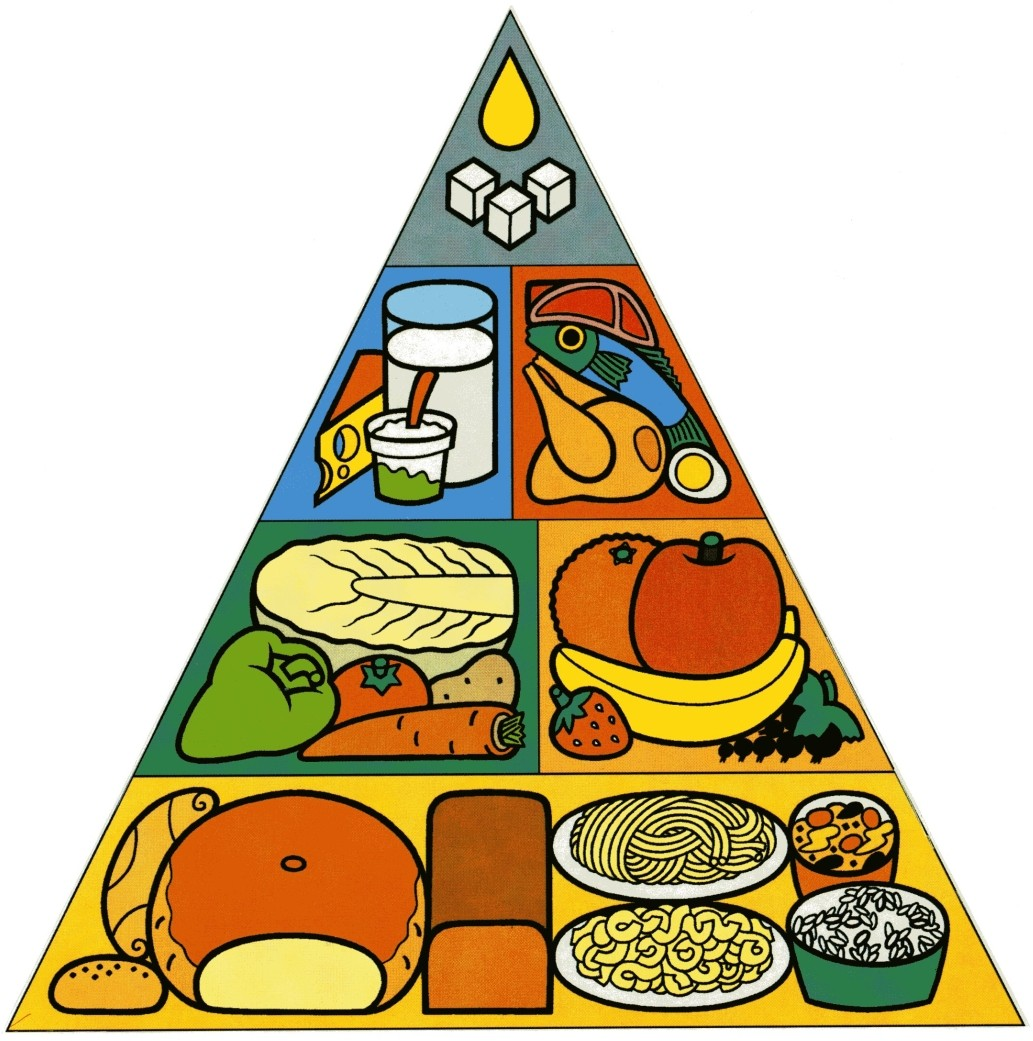 Hodnocené potraviny, výživové faktory Obiloviny (+ vláknina) Zelenina, ovoce, luštěniny, ořechy, bylinky Maso, drůbež, ryby, vejce Mléko a