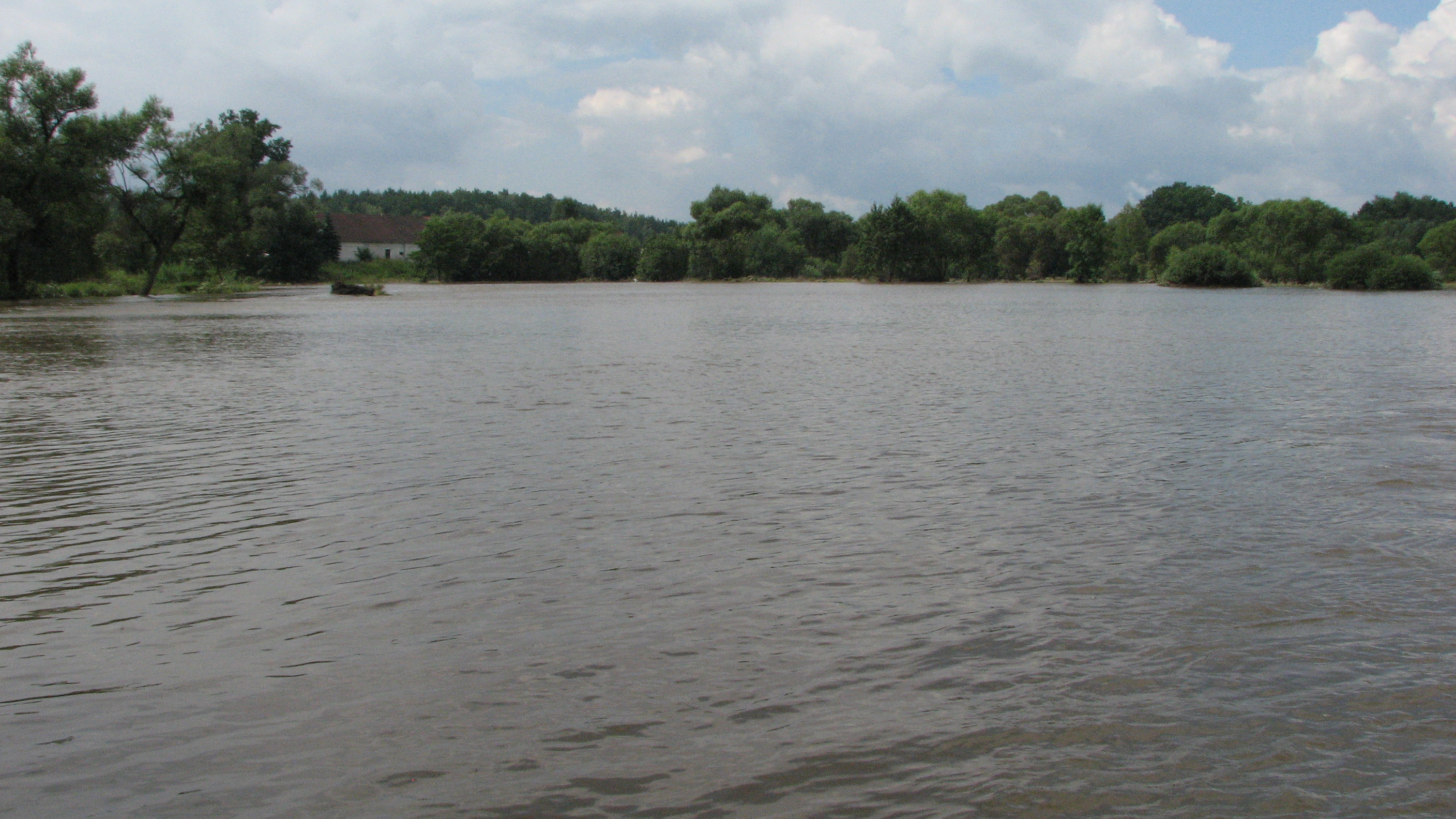 Obr. 6. V průběhu povodní je celá niva zaplavena. Foto: Luboš Beran. Fig. 6. The entire floodplain is inundated during the floods. Photo by Luboš Beran.