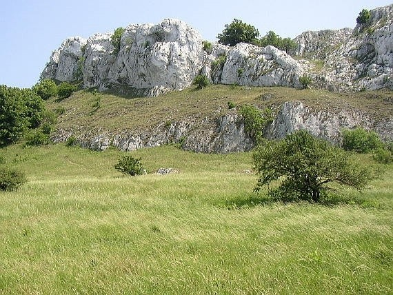 Hlubokovodnější pánevní vývoj nejvyšší části jury ve vývoji slezské jednotky představují tzv. spodní těšínské vrstvy (mocnost 350-600 m).