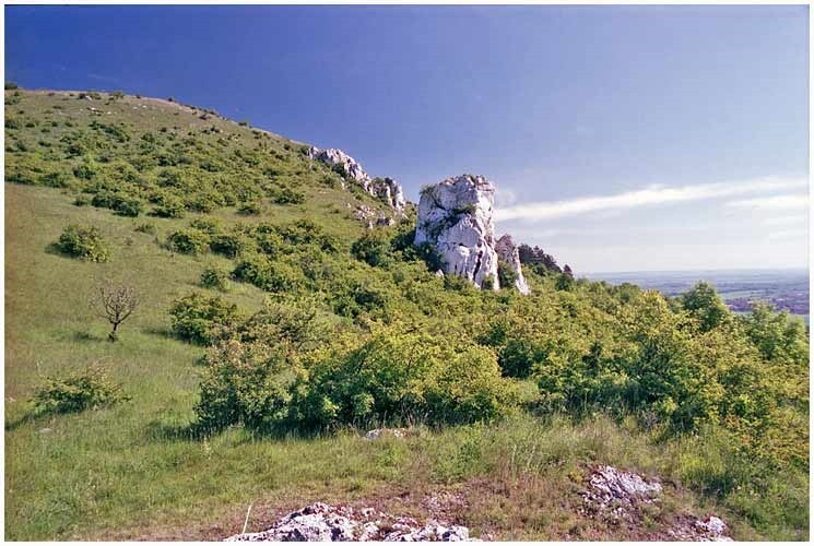 Rezervace zahrnuje nejvýznačnější a nejrozsáhlejší bradla Pavlovských vrchů, navzájem oddělená hlubokým sedlem zvaným Soutěska, které sleduje tektonickou linii.