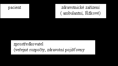 Zdravotní systémy I.