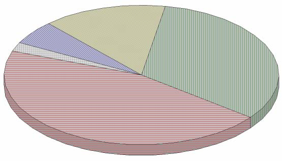 Počet dětí do 18 let v domácnosti (Abs, N=144) 5 a více 8 4 děti 3 3 děti 21 2 děti 47 1 dítě 65 Graf 1.