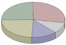 Ochota připlácet za sociální služby (platný soubor, N=287) spíše ano 25 jak kdy 28 určitě ano 24 spíše ne 13 rozhodně ne 10 Graf 7.