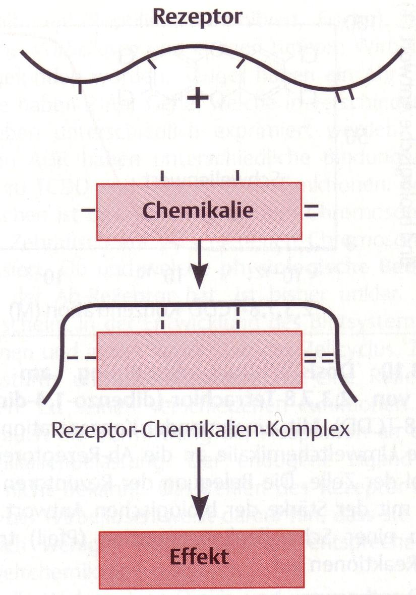 Receptorová teorie Molekulární základ vztahů mezi dávkou a účinkem Vazba látky na receptor je předpokladem toxického účinku Nelze použít pro nespecifické interakce Toxický účinek je úměrný