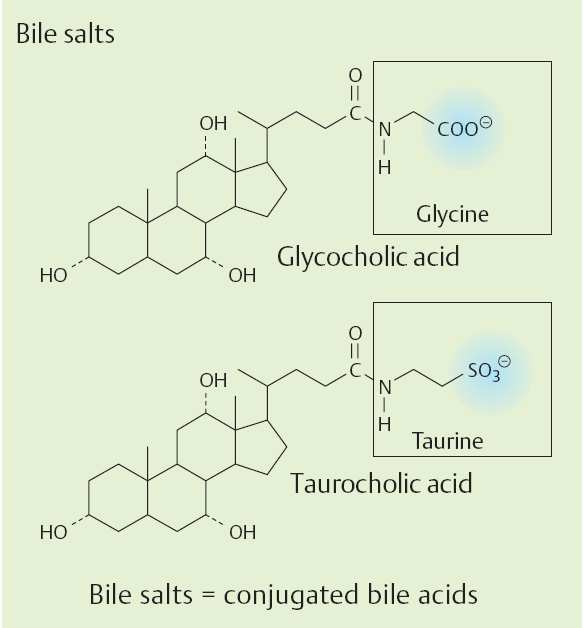 žlučové soli = konjugované žlučové kyseliny Obrázek převzat z knihy: J.