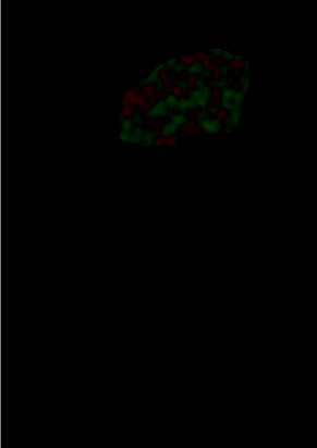Příklad je uveden na Obrázku 5.4 a. Zelená barva vyjadřuje míru úbytku suché hmoty. To je však v rozporu s chováním buňky v tak krátkém časovém intervalu (20 s). Běţný průběh DPD je na Obrázku 5.
